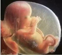 再也不用往返跑省城了，感謝醫(yī)生助我懷上了寶寶~~