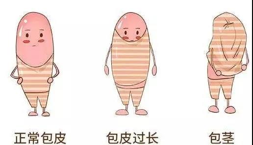 【保山安利醫(yī)院】家長速看！暑期包皮手術(shù)預(yù)約正當(dāng)時！